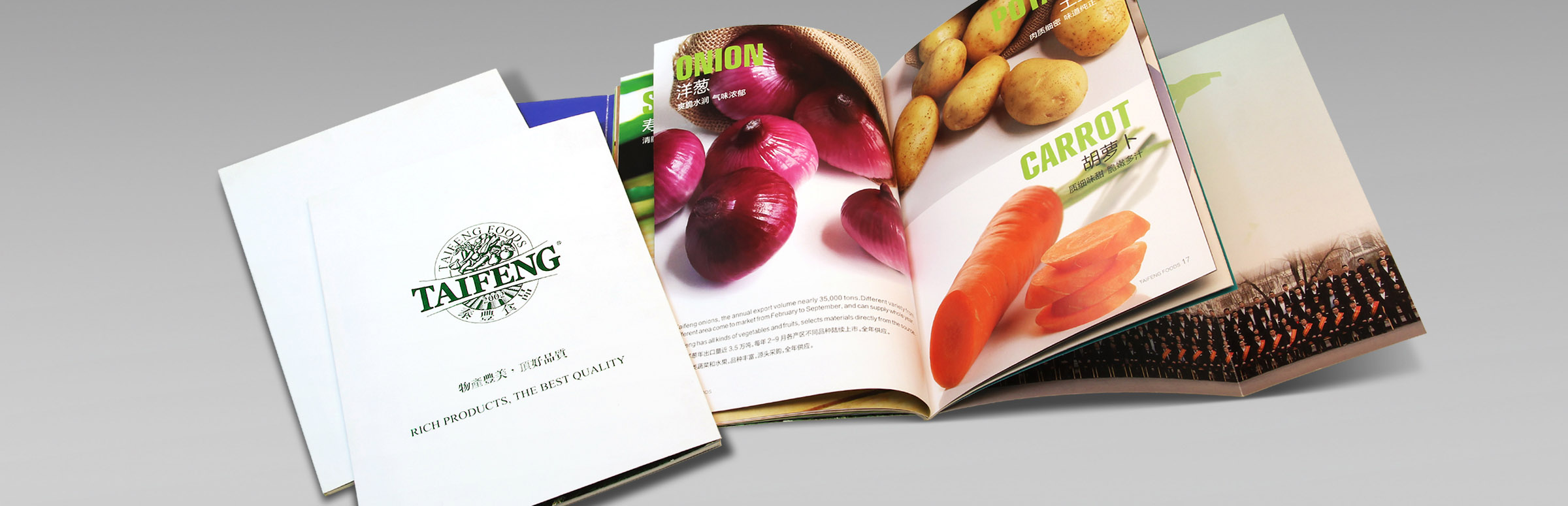 畫冊設計在企業宣傳中的價值