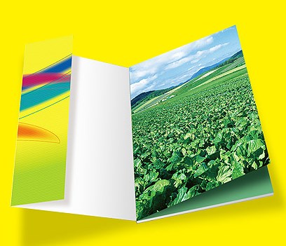 選擇適合畫冊印刷的紙張需要考慮哪些因素？